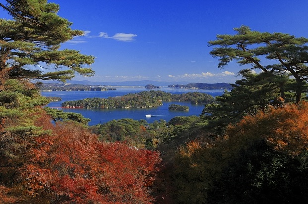 「西行戻しの松公園」から見渡す風光明媚な景色（画像提供：(一社)松島観光協会）