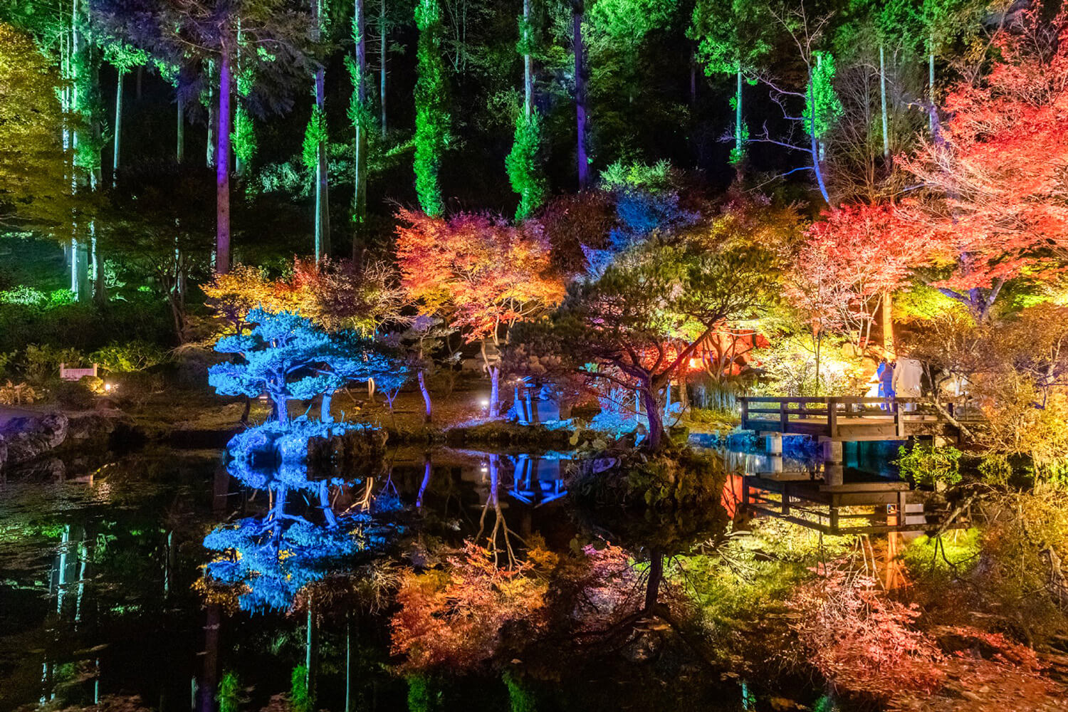 秋保石の石組と池で構成された小屋館跡（こやだてあと）庭園のライトアップ