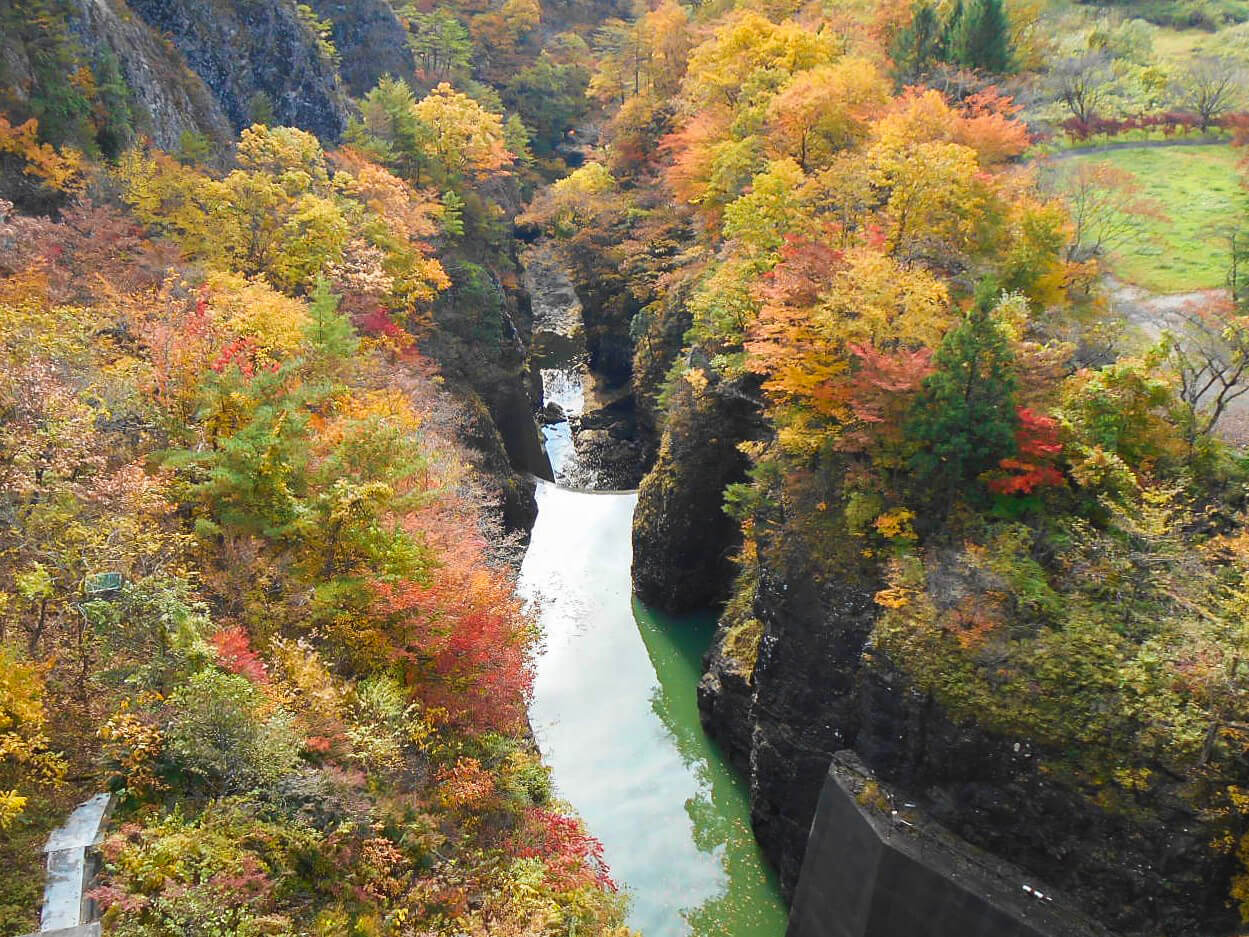 ダムの上から見下ろす紅葉の景色