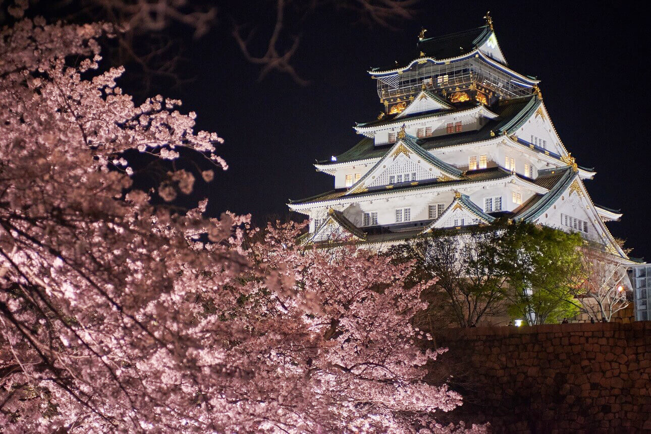 西の丸庭園からの眺め。夜桜越しの大阪城が美しい（写真提供：大阪城パークセンター大阪城）