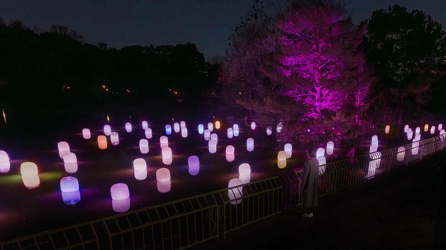 桜の時期限定の作品《大池に浮遊する呼応するランプ - 曖昧な桜》©チームラボ