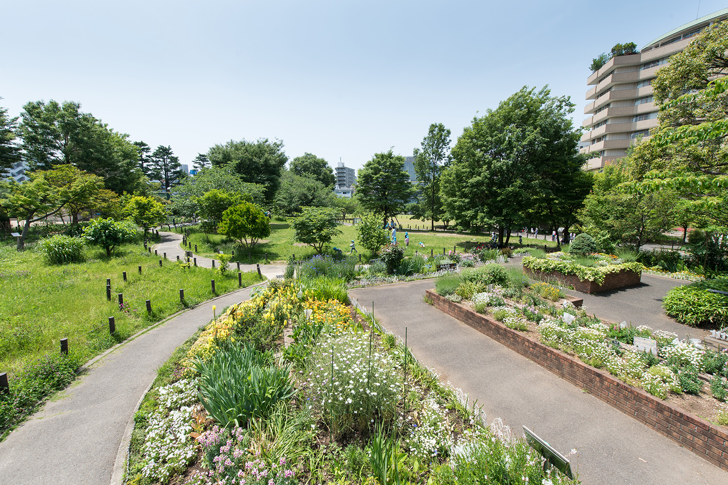 中目黒公園