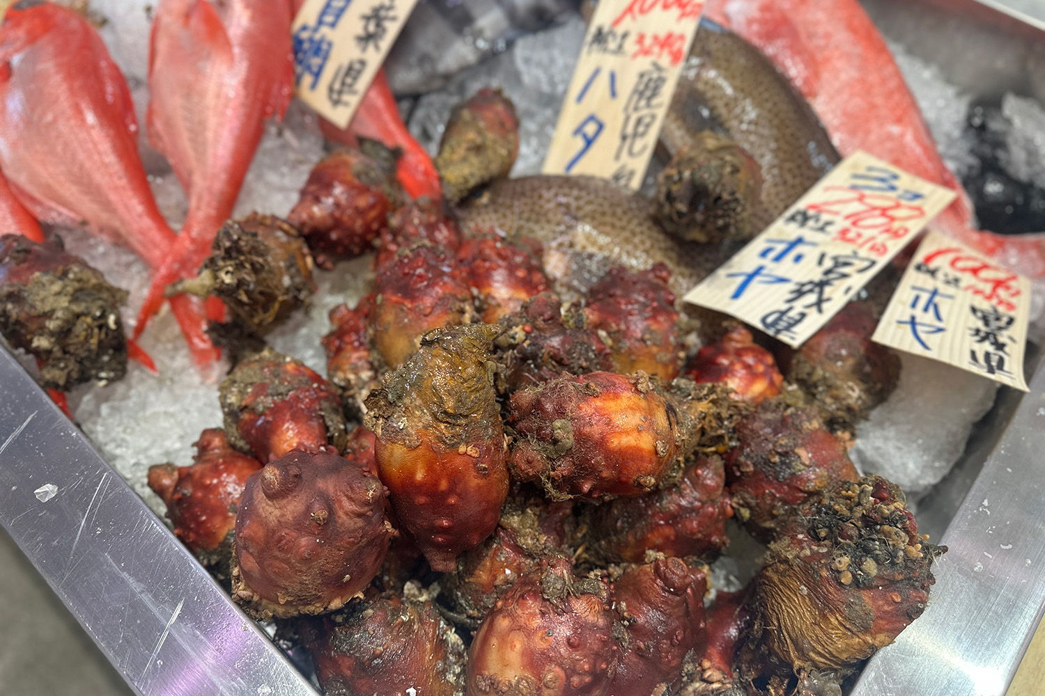全国から旬の魚も集まる「水産大国」。夏は、宮城県の地元食でもあるホヤがお買い得！
