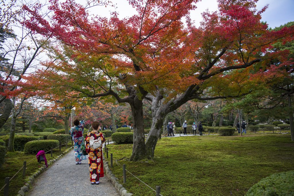【2025年版】金沢エリアのおすすめ紅葉スポット