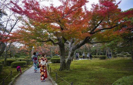 【2025年版】金沢エリアのおすすめ紅葉スポット