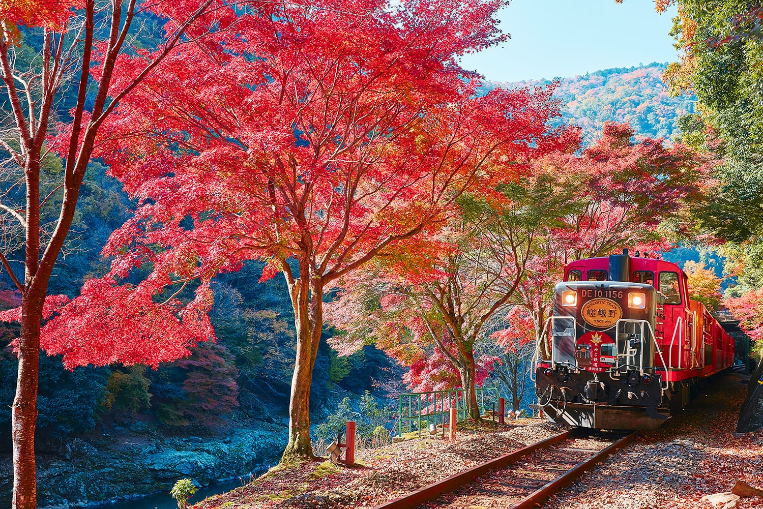 対岸の山々に広がる紅葉を望む（トロッコ嵯峨駅から2,150m～2,450m地点）