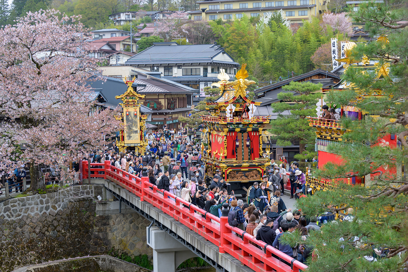 桜の名所でもある中橋を、華やかな屋台が連なって通る