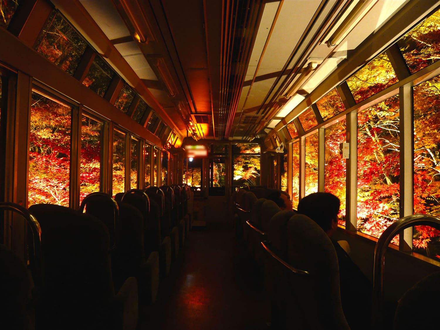 夜のもみじのトンネルをきれいに写すには、フラッシュを焚かずに撮るのがポイント