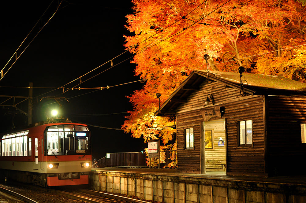 二ノ瀬駅の紅葉ライトアップ