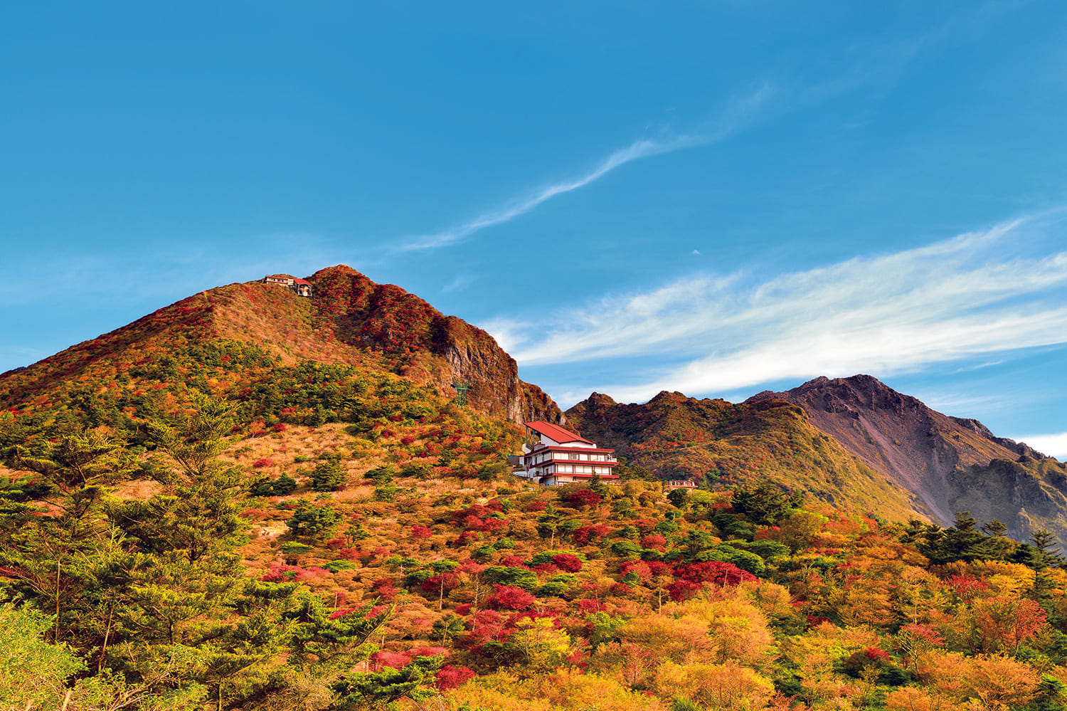 錦の絨毯を敷き詰めたような山の景色が目の前に