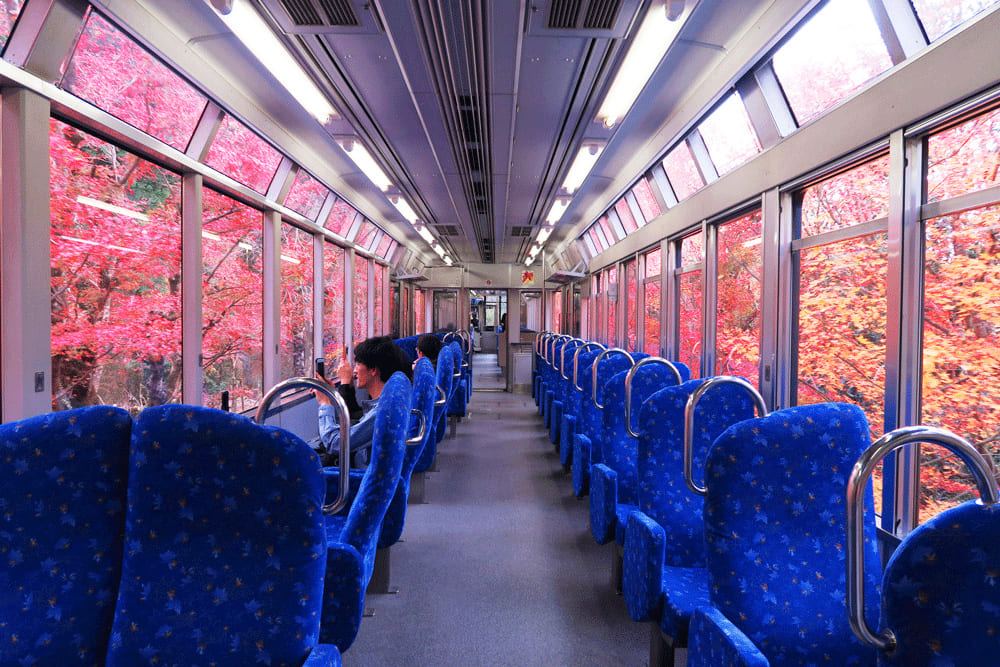 窓側に向けて配置された中央の座席からは、よりゆったりと景色が楽しめる