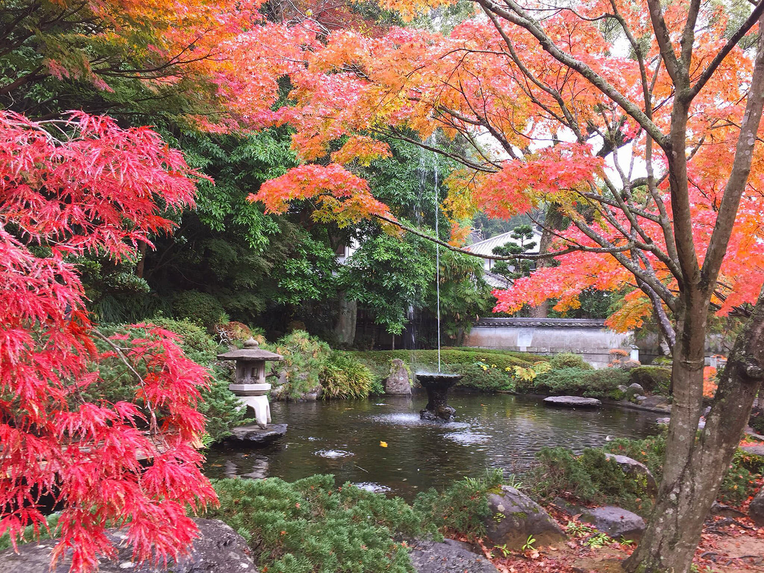 近代公園で最も古い装飾噴水が再現された池。周囲を鮮やかなモミジが囲む