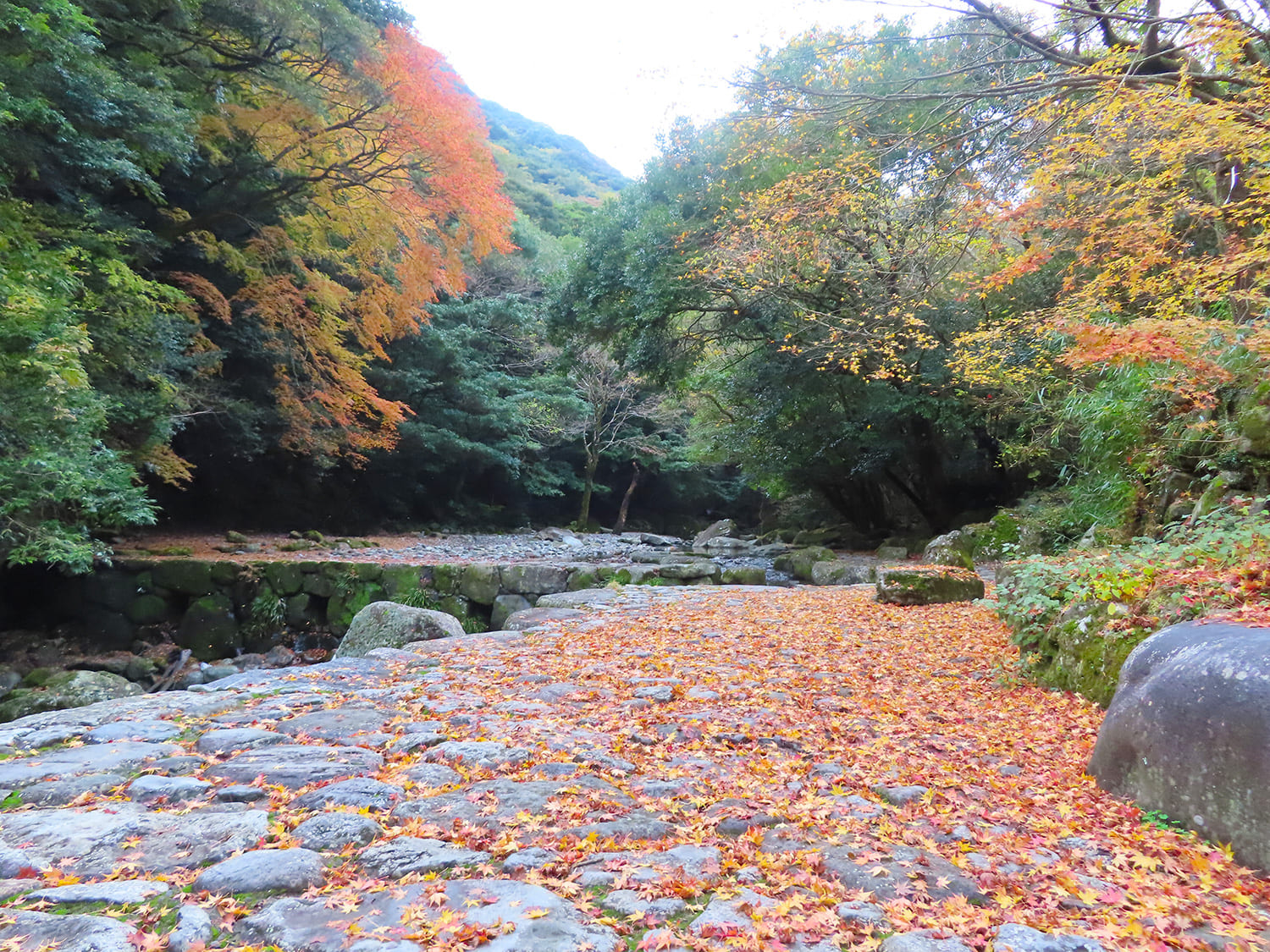 谷あいの足元に、カラフルな紅葉が広がる