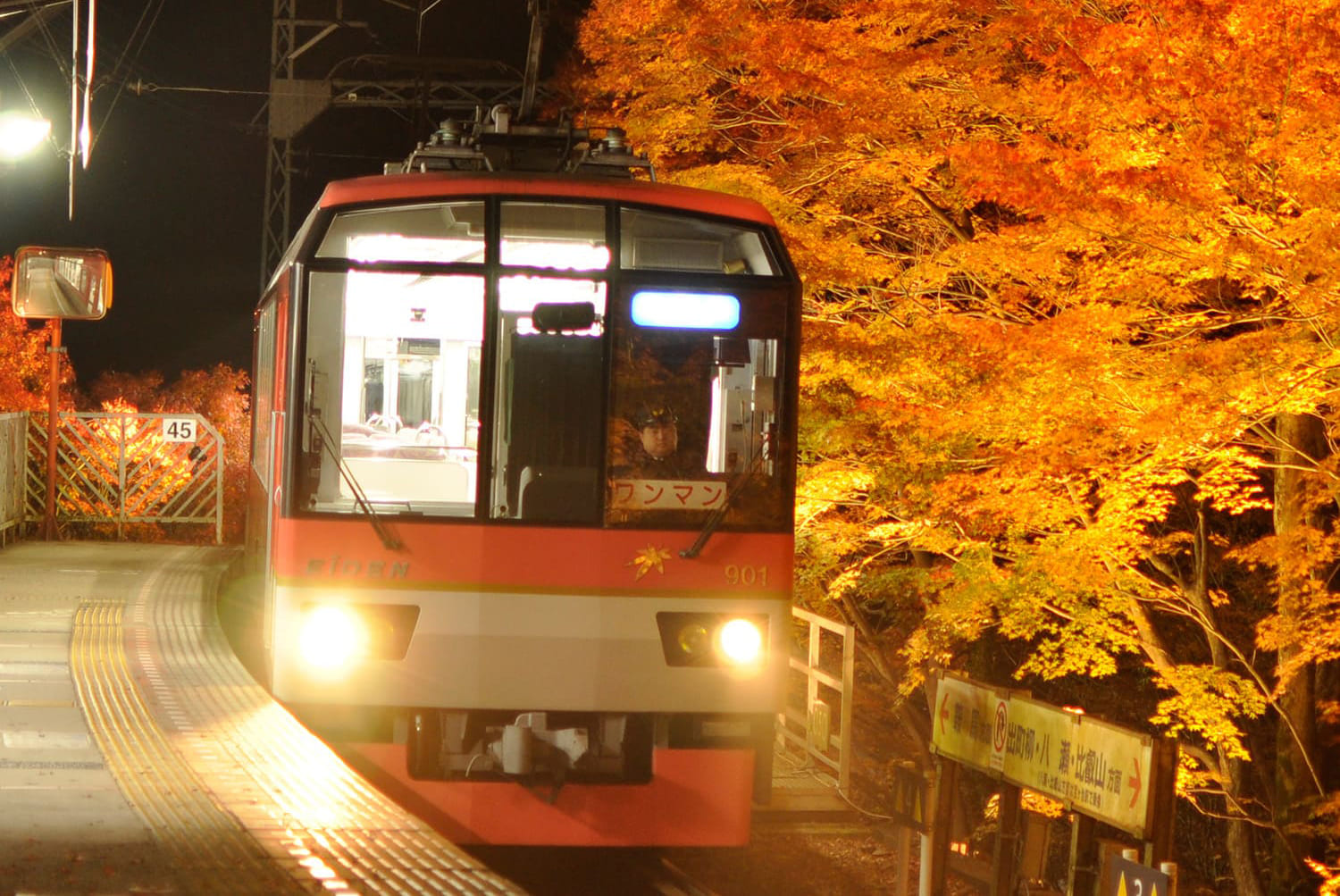 貴船口駅の紅葉ライトアップ