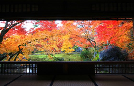 【2025年版】今年こそ訪れたい京都・嵐山エリアの定番&穴場紅葉スポット10選