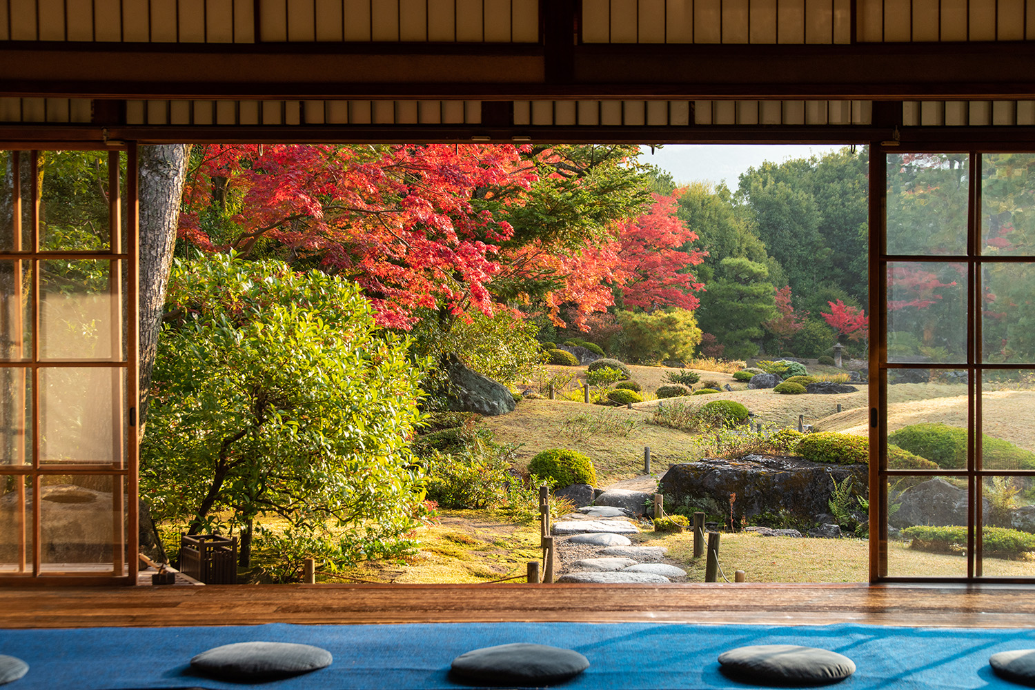母屋10畳間からの眺め。ここでカフェも楽しめる（©植彌加藤造園）