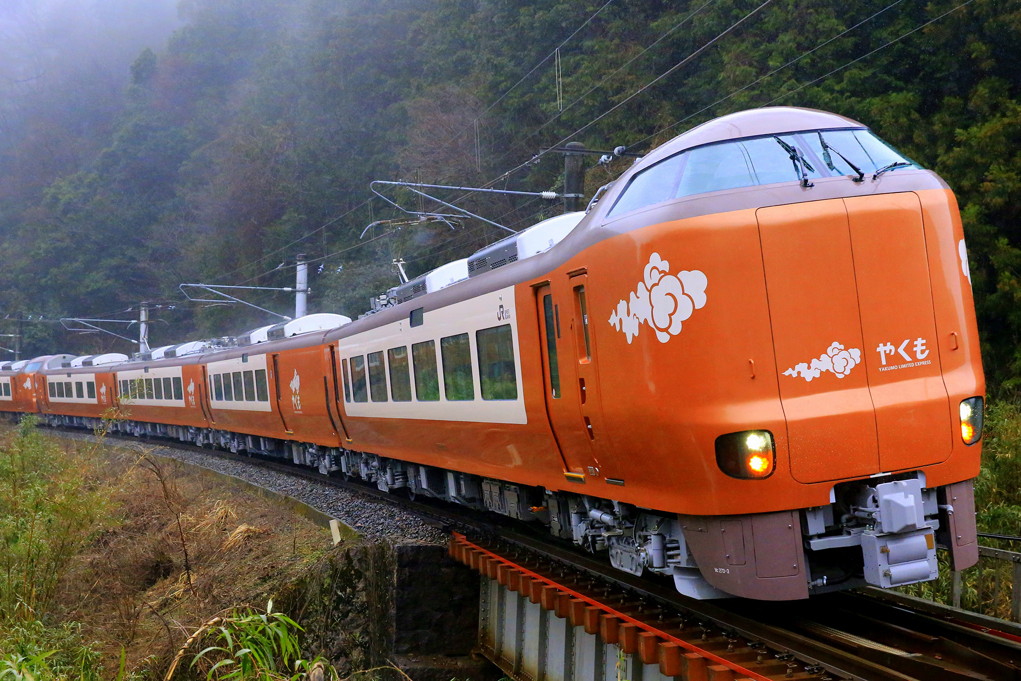 273系特急「やくも」　(写真:坪内政美)