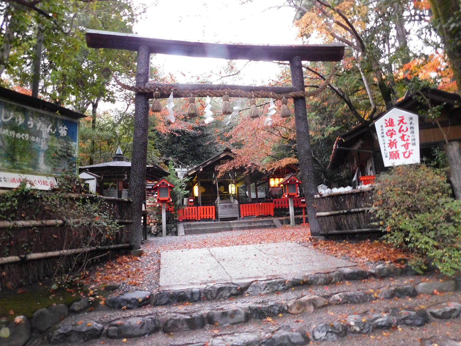 晴天に映える黒木の鳥居とモミジの競演が見物。秋麗な写真も期待できる