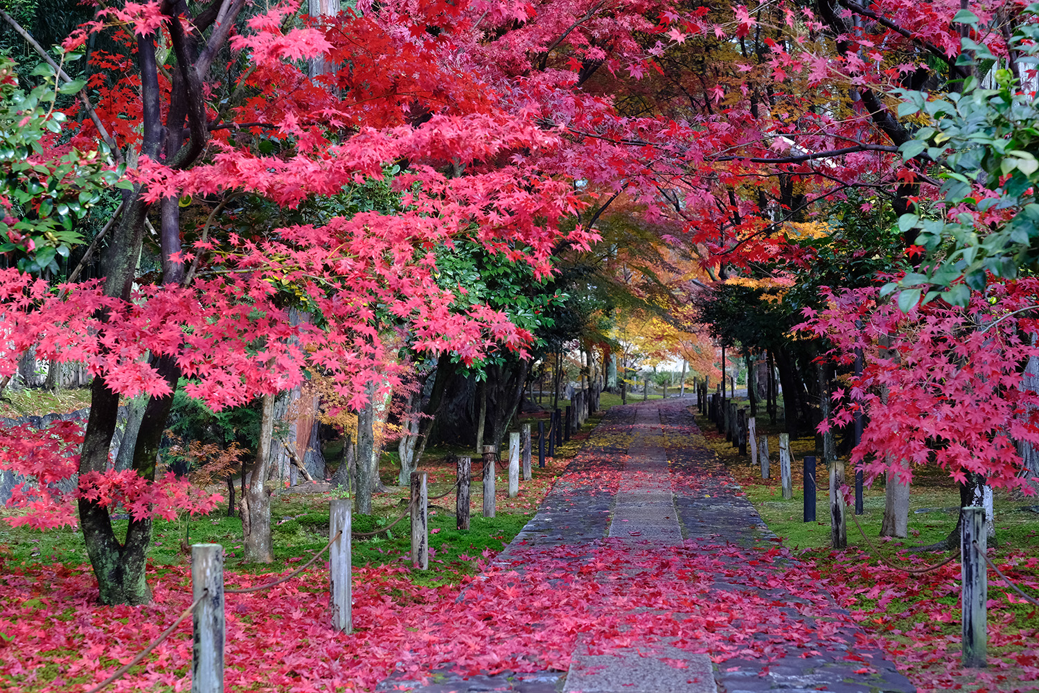 山門から中門にかけて続く石畳の参道