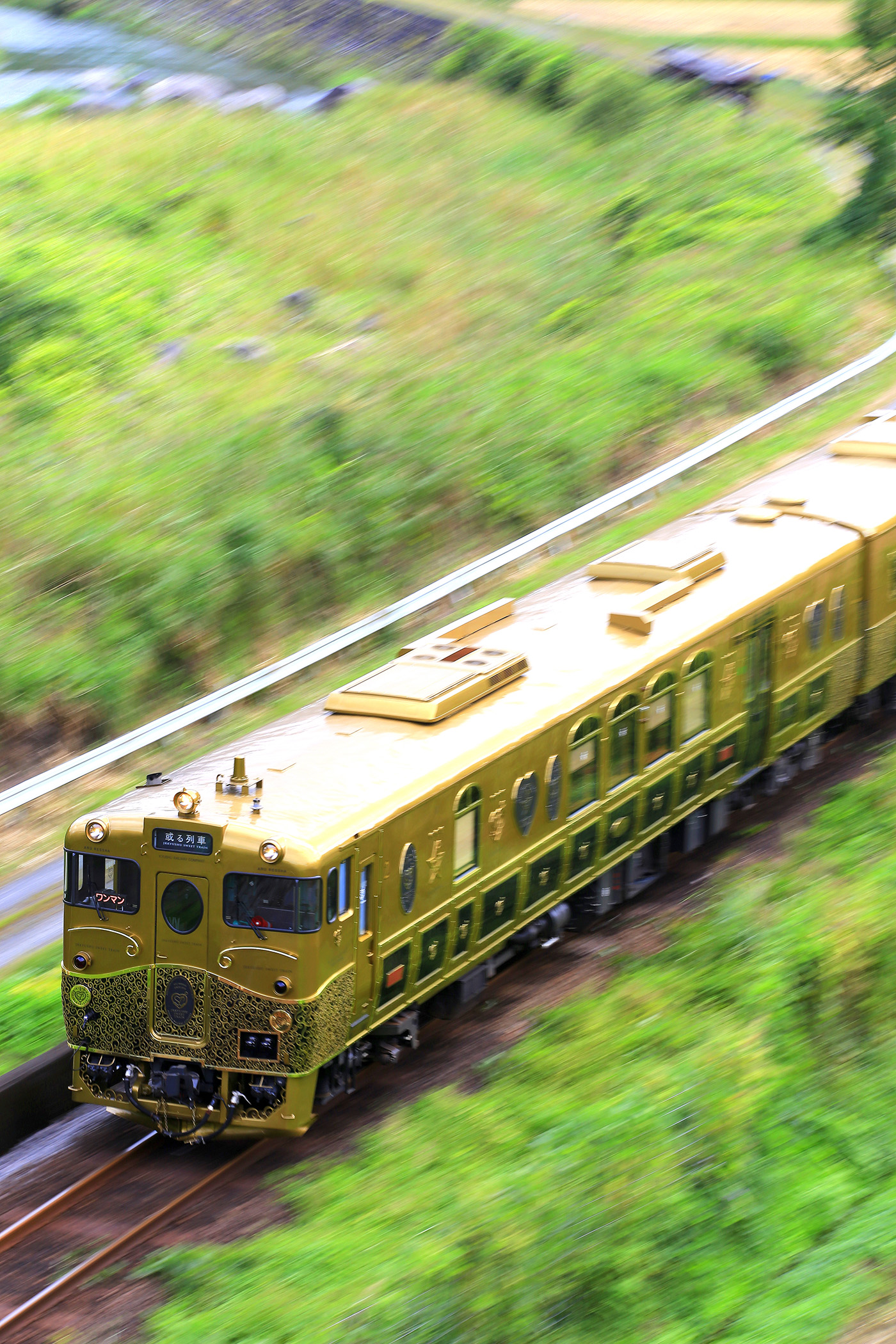 金色に輝く或る列車 （写真：坪内政美）