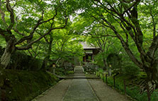 常寂光寺（じょうじゃっこう）