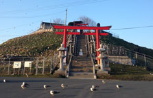 鮫町蕪島・蕪嶋神社