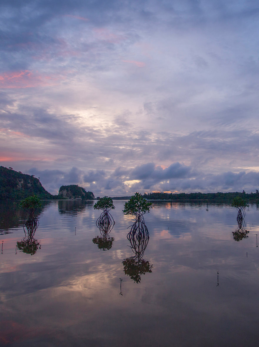 ギャラリー画像