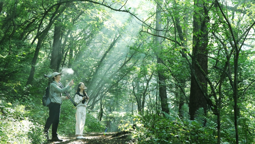 CAREER PATH SYSTEM - キャリア支援制度