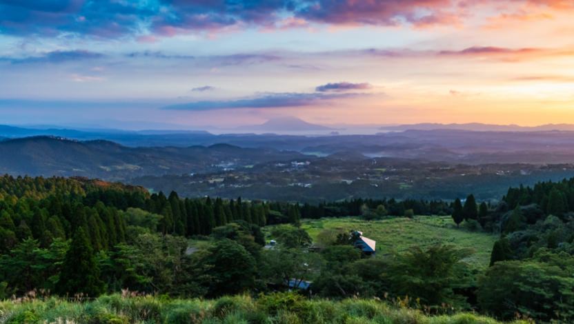 NEW GRADUATE - 新卒採用 - Meister コースのご紹介