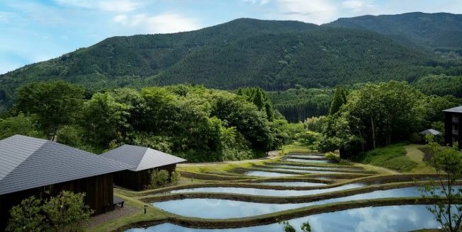 磯川　涼子
