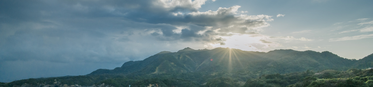 キャリアサポート／人材開発担当