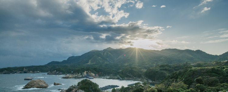 キャリアサポート／人材開発担当