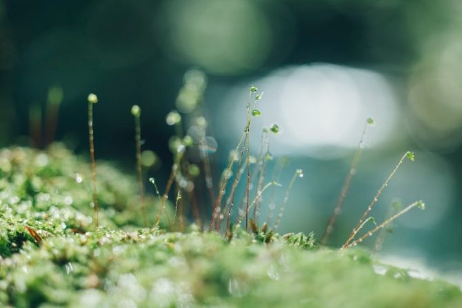 界 草津開業スタッフ募集！【4月入社】カジュアル面談付きセミナー＠群馬県内