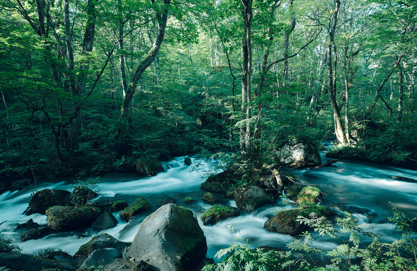 奥入瀬渓流