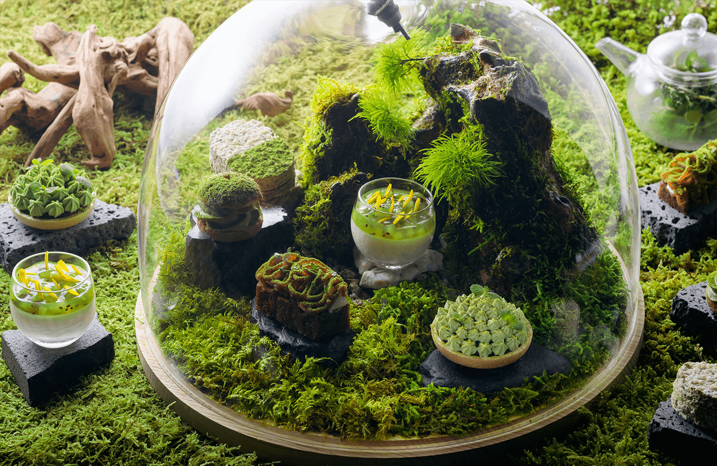 苔アフタヌーンティー