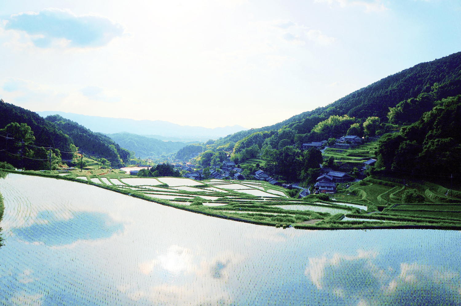 細川の棚田
