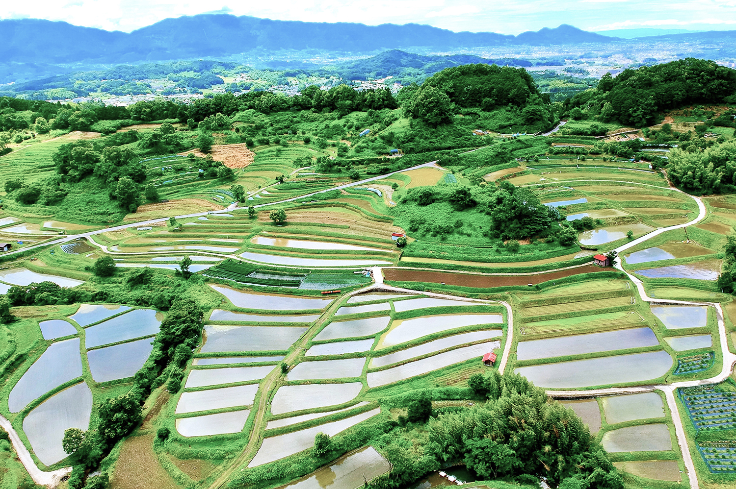 農の風景が広がる