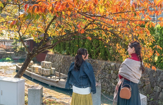 京町らんまん川さんぽ
