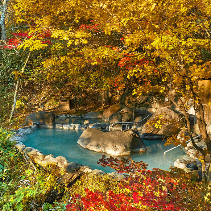 秋の贅沢紅葉露天