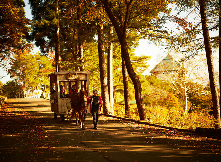 紅葉りんご馬車