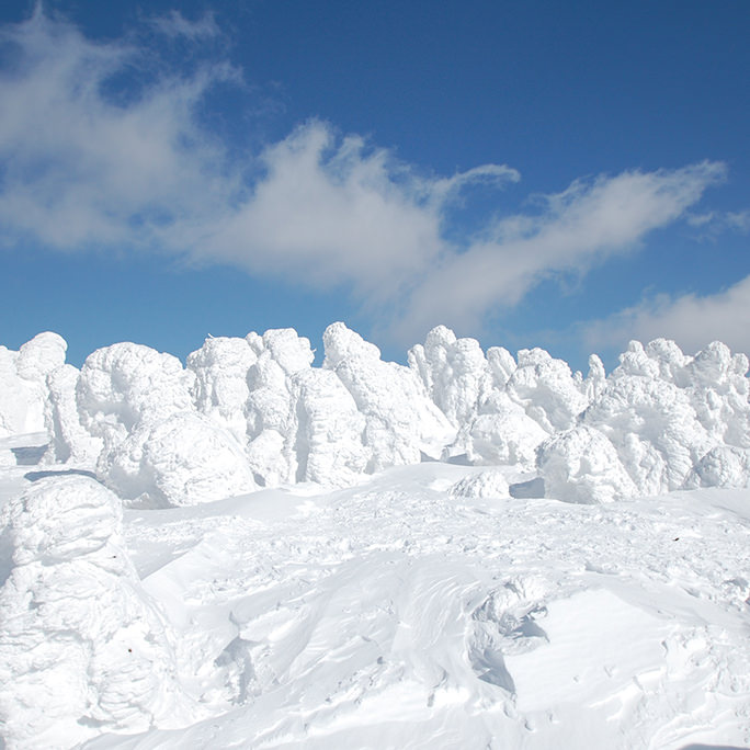 八甲田のスノーモンスター