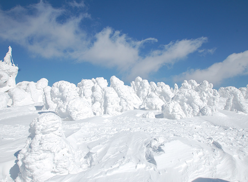八甲田のスノーモンスター