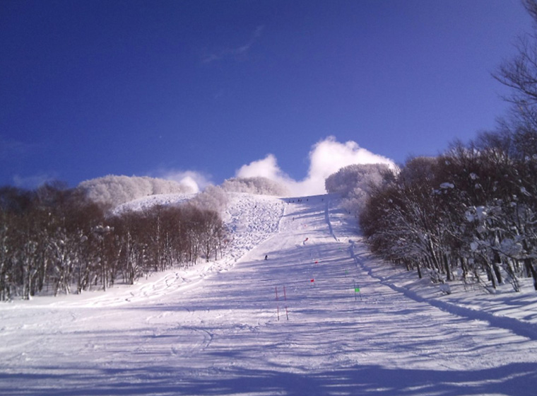 八甲田国際スキー場