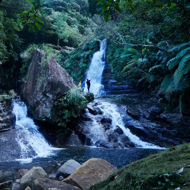 西表島の大自然を満喫！卒たび