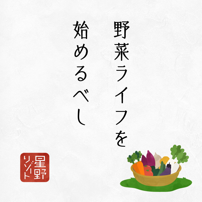 野菜ライフを始めるべし