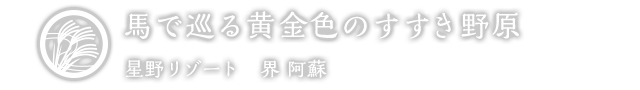 馬で巡る黄金色のすすき野原｜星野リゾート　界 阿蘇