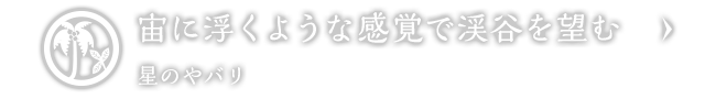 宙に浮くような感覚で渓谷を望む｜星のやバリ