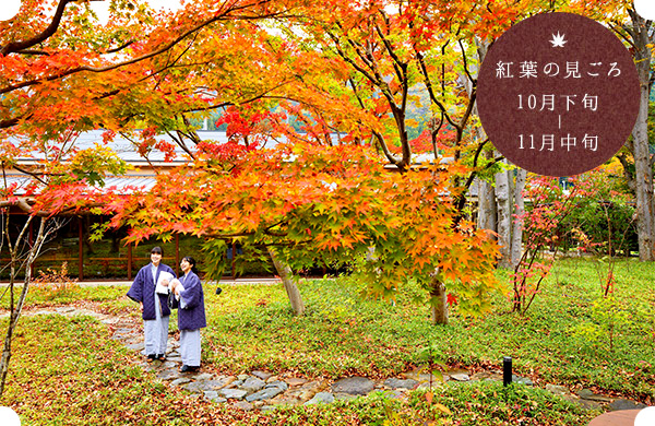 こころ染まる 紅葉のおもてなし 星野リゾート