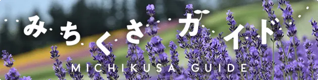 みちくさガイド